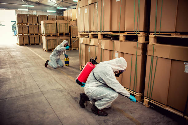 Best Residential Pest Control  in Broadview, IL