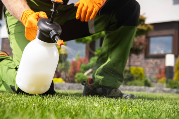 Best Affordable Pest Control Services  in Broadview, IL