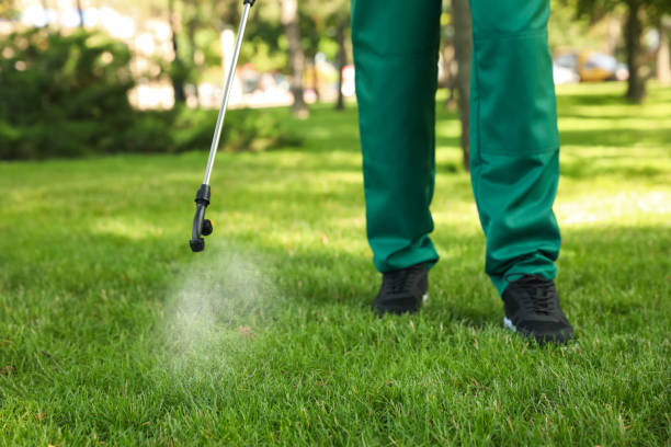 Best Exterminator Services  in Broadview, IL