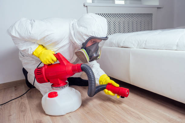 Best Affordable Pest Control Services  in Broadview, IL