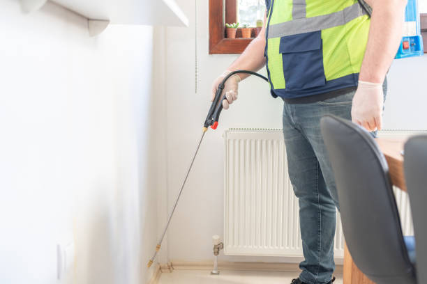 Best Rat Extermination Near Me  in Broadview, IL