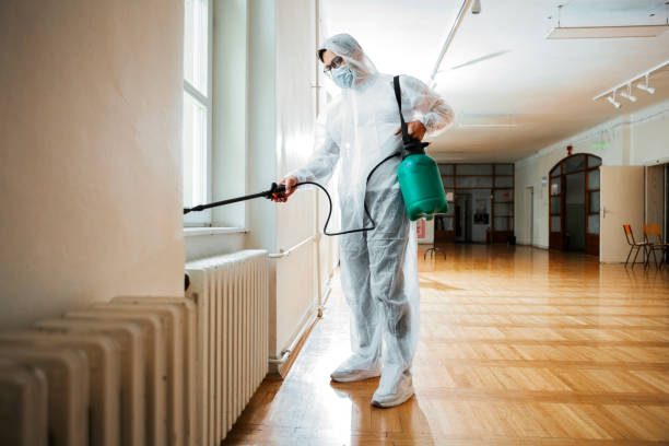 Best Mosquito Control Services  in Broadview, IL