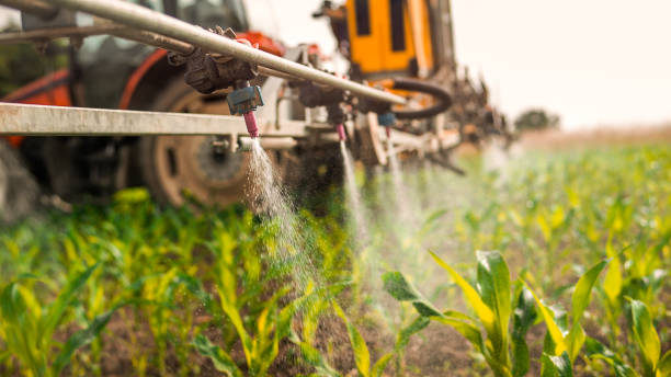 Best Spider Control Near Me  in Broadview, IL